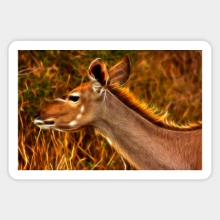 Kruger Kudu Sticker